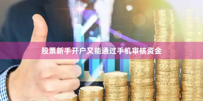 股票新手开户又能通过手机审核资金