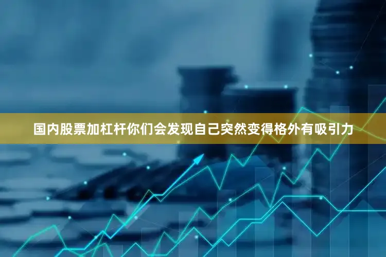 国内股票加杠杆你们会发现自己突然变得格外有吸引力